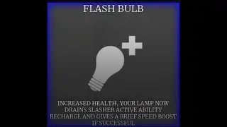 Survive the Night | Flash Bulb Perk + Blacklight Shield gameplay