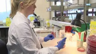 Bournemouth Hospital Pathology