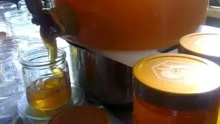 Afvullen Honing Potten
