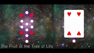 The Mystery of Life: It's In The Cards