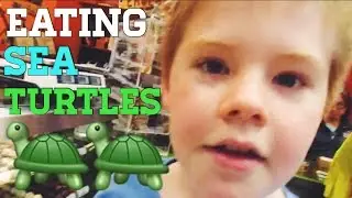 EATING SEA TURTLES?!