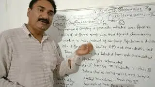 11 Economics Topic- statified sampling or mixed sampling