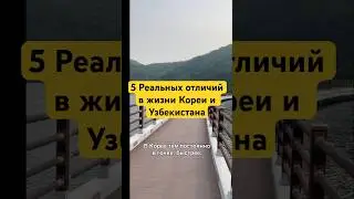 Реальные отличия в жизни Кореи и Узбекистана разбираем 5 из них #korea #узбекистан #жизнь #советы