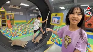 สวนสนุก - บ่อบอลเด็ก - แพรี่ด็อก | บริ้งค์ไบรท์