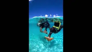 The Top 5 Honeymoon Destination in the Philippines