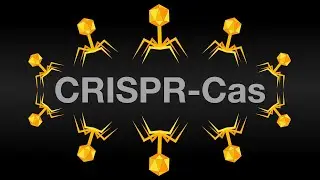 CRISPR-Cas or How to Win a Nobel Prize | The Hidden Molecular Scissors | Animation