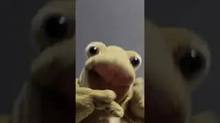 Froggy The Frog Puppet Easter Special