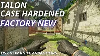 Talon Knife Case Hardened | CS2 Skin Showcase with NEW Animation