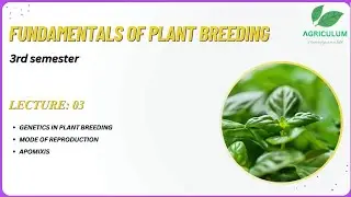 Mode of reproduction | Apomixis | Lecture_03 | Fundamentals of Plant Breeding