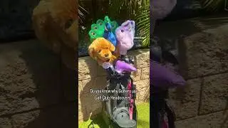 Do you know why Golfers use Golf Club Head Covers..#shortsvideo #shorts #golf #golfswing #golfer