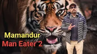 Mamandur Man Eater 2। Kenneth Anderson Series। Wildlife Story। शिकार कहानियां। Story Narration Hindi