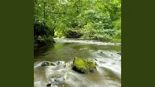 Currents Flow in Melodic Whispers