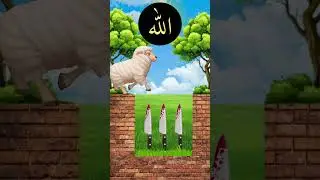Mustafa Mustafa🕋❤️ #viralvideo #shorts #shortsfeed #vfxediting #vfxeditor #vfxshorts #allah