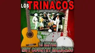 El Sube y Baja