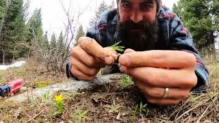 Teton Bloody Mary, Backcountry Cocktails  (Summer Cocktail series, Ep.1, May 2020)