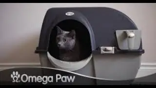 Omega Paw Elite Self-Cleaning Litter Box Review | Roll &lsquo;n Clean Cat Litter Solution