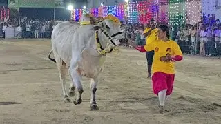 అన్నంబొట్లవారిపాలెం జూనియర్స్ 10వ జత.NSP. Bulls నందిపాటి శ్రీ జారి గారు తక్కెళ్ళపాడు గ్రామం