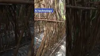 Sugarcane Ai technology 🧐🧐🧐