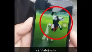 Pok&eacute;mon Go bug Turns Pokeball into Rattata