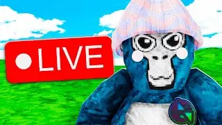 Gorilla Tag LIVE EVENT Countdown!