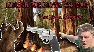 Ruger Redhawk  44 Magnum 4.2