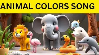 Magical Animal Adventure Teaches Colors Through Song!