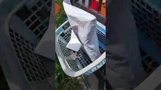 Unboxing Everythings Day2