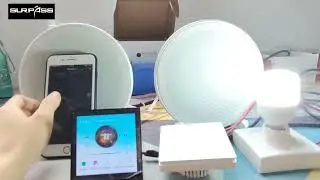 Wall amplifier TUYA application
