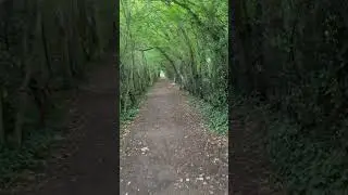 Ferry Meadows in Nene Park #peterborough #england #uk