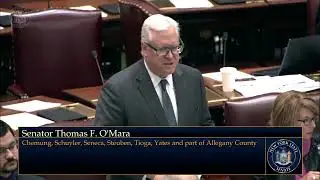 O'Mara on state budget: 'Spending is out of control in this state'