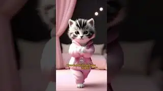 Dancing with the Paws My Cat's Got Talent! 🐾💃 #dance #cat #cat