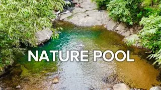 HIDDEN GEM IN KOTTAYAM | അടുക്കം 🏊&zwj;♂️ | NATURE POOL | VAGAMON | TEEKOY | ILLIKKAL KALLU | 