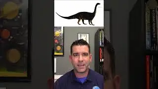 Riojasaurus | Fun With STEM