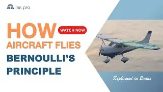 how does an aircraft fly ? Explained using Bernoulli's principle in 2 minutes