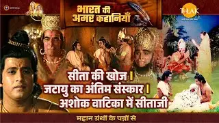 सीता की खोज। जटायु का अंतिम संस्कार। अशोक वाटिका में सीताजी | Ramayan Katha