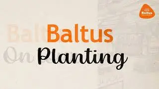Baltus Bloembollen IGCA 2022 tour