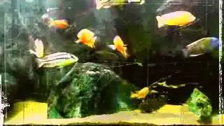 Muzyka Relaksacyjna   do snu, na stres,do masażu,spa,joga,wyciszająca 6