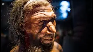 How Smart Were Neanderthals? | BuzzFresh News