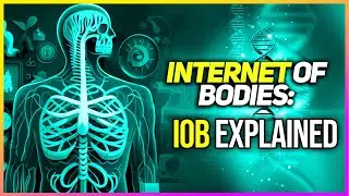 The Internet of Bodies: The Future of IoB & What It Means for YOU
