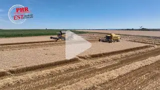 Chantier de moisson de blé avec deux moissonneuses et un transbordeur