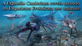 A Explos&atilde;o Cambriana e a Origem dos Esqueletos em Animais (EP. 05)