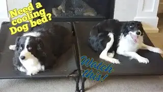 Veehoo Elevated Cooling Dog Bed 2 Pack - Stay Cool & Comfortable
