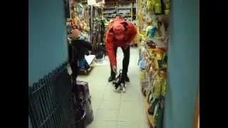 MOV01664