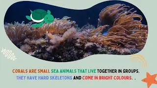 Coral Reef Adventures: Fun Learning for Kids