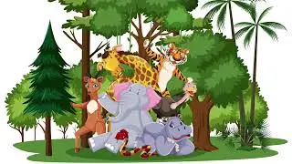 IEP4/5 The world around us