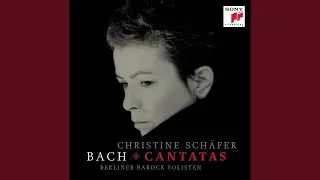 Mein Herze schwimmt im Blut, BWV 199: IV. Aria: Tief geb&uuml;ckt und voller Reue