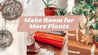 7+ Creative Plant Stand Ideas From The Thrift Store