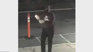 NJ synagogue firebombing suspect still on the loose