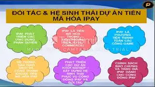 IPAY - IPAY COIN - IPAY PROJECT/ TOP 1