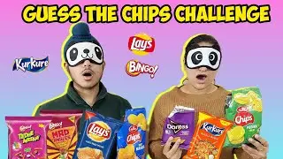 Guess the Chips Challenge | Family Fun Vlog | Teg and Fateh Vlogs